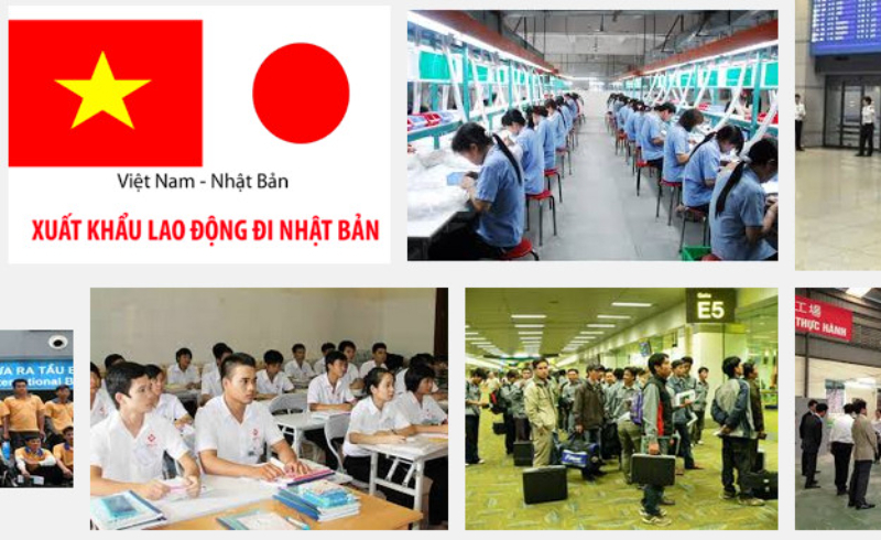 TQC - cầu nối nguồn lao động Việt Nam với thị trường việc làm tại Nhật Bản