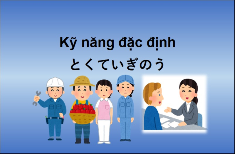 TQC - đơn vị cầu nối giữa nguồn lao động Việt Nam với thị trường việc làm tại  Nhật.